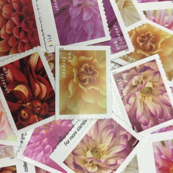 2025 Dahlias Forever Stamps