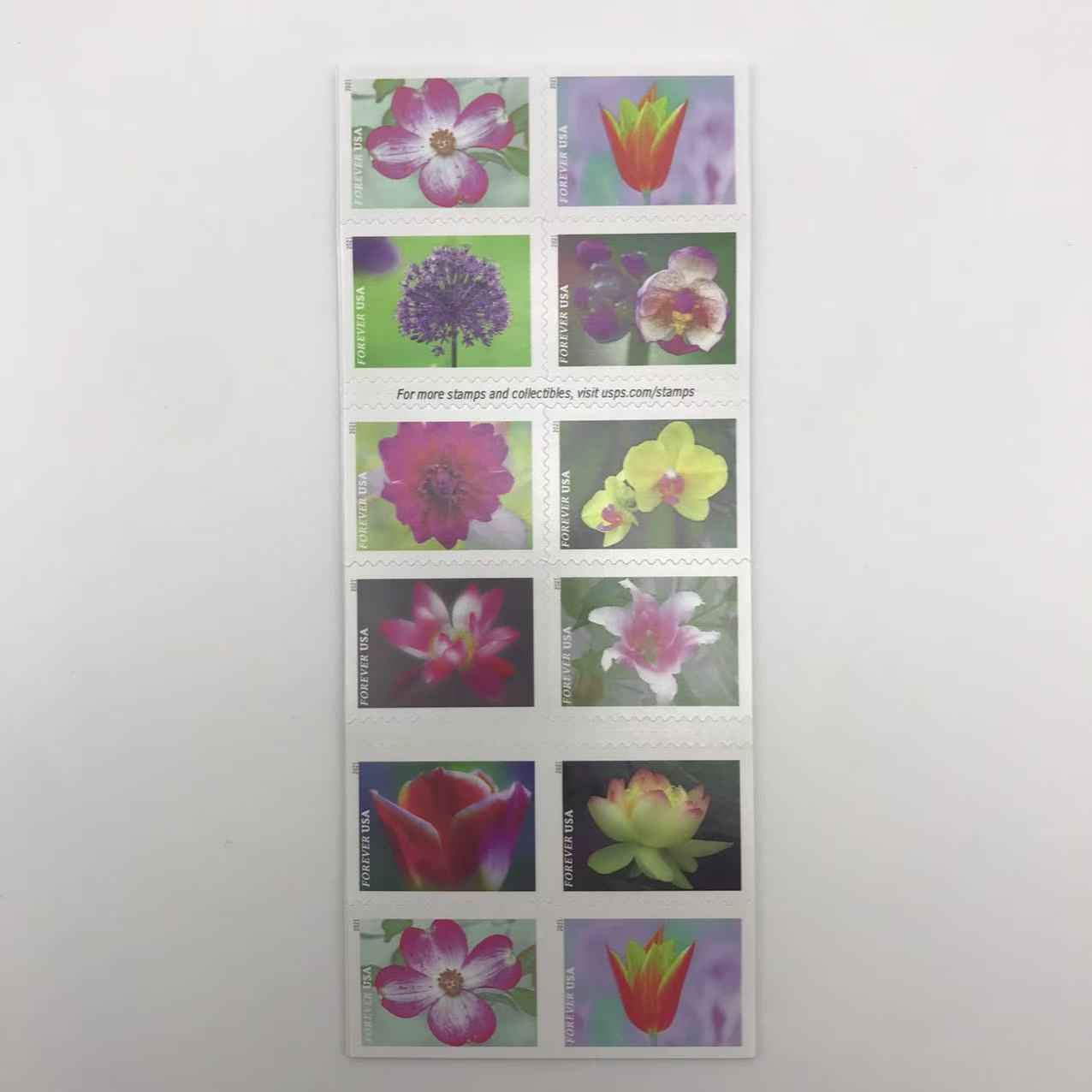2021 Garden Beauty Forever Stamps - Image 4