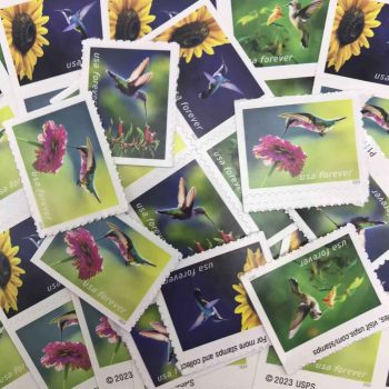 2024 Garden Delights Forever Stamps