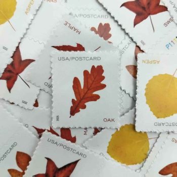 2025 Vibrant Leaves Postcard Stamps