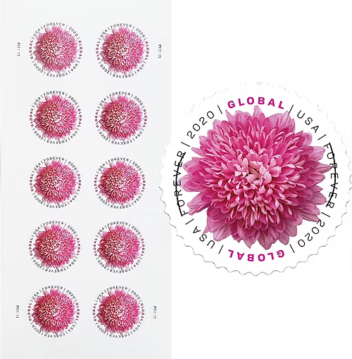 Global Chrysanthemum Stamps International 2020 (50pcs) - Image 3
